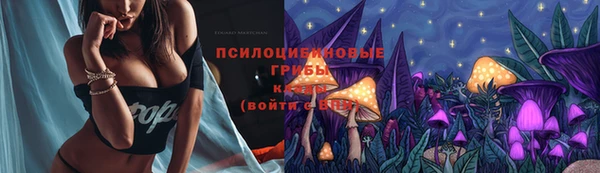 2c-b Елабуга