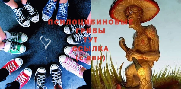 шишки Елизово