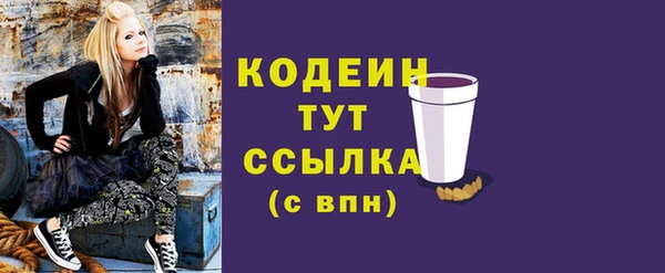шишки Елизово