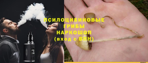 шишки Елизово