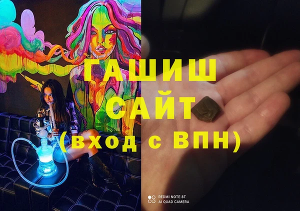шишки Елизово