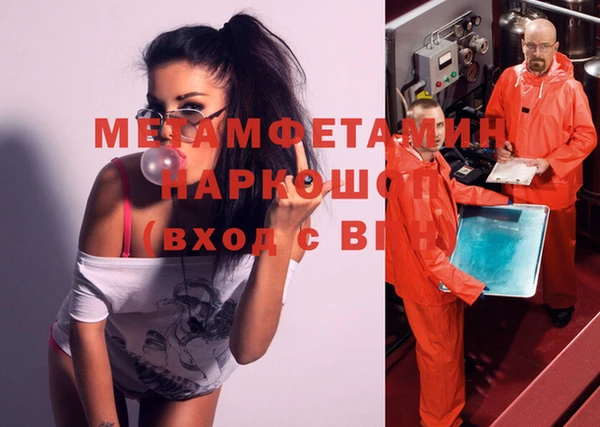 шишки Елизово