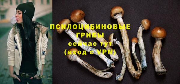 шишки Елизово