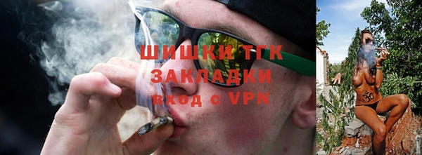 шишки Елизово