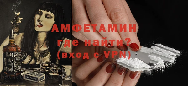 шишки Елизово